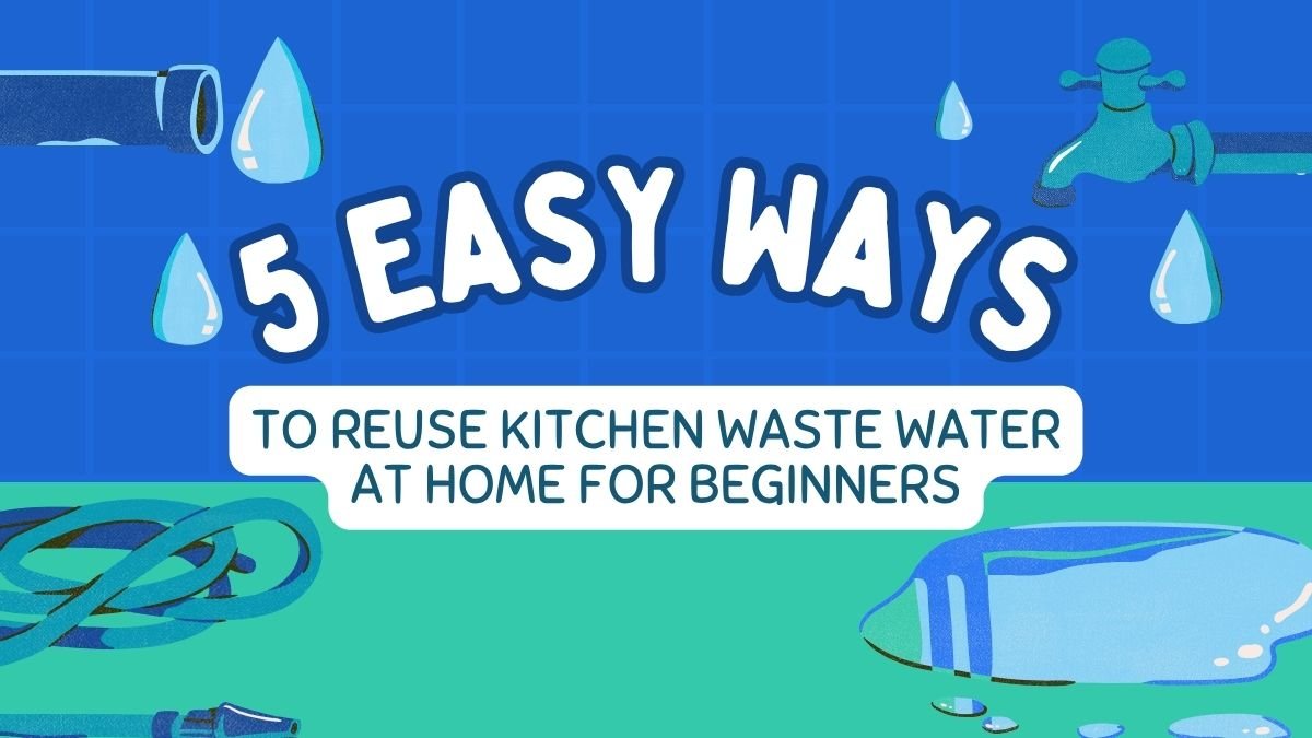 5 Easy Ways to Reuse Kitchen Waste Water at Home for Beginners