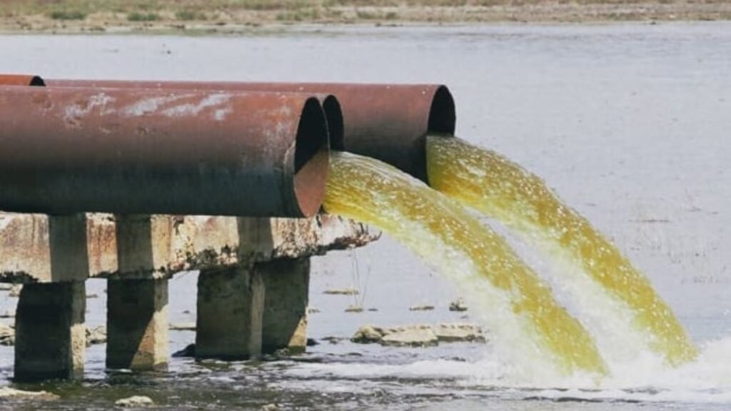 Effects of industrial and agricultural pollutants