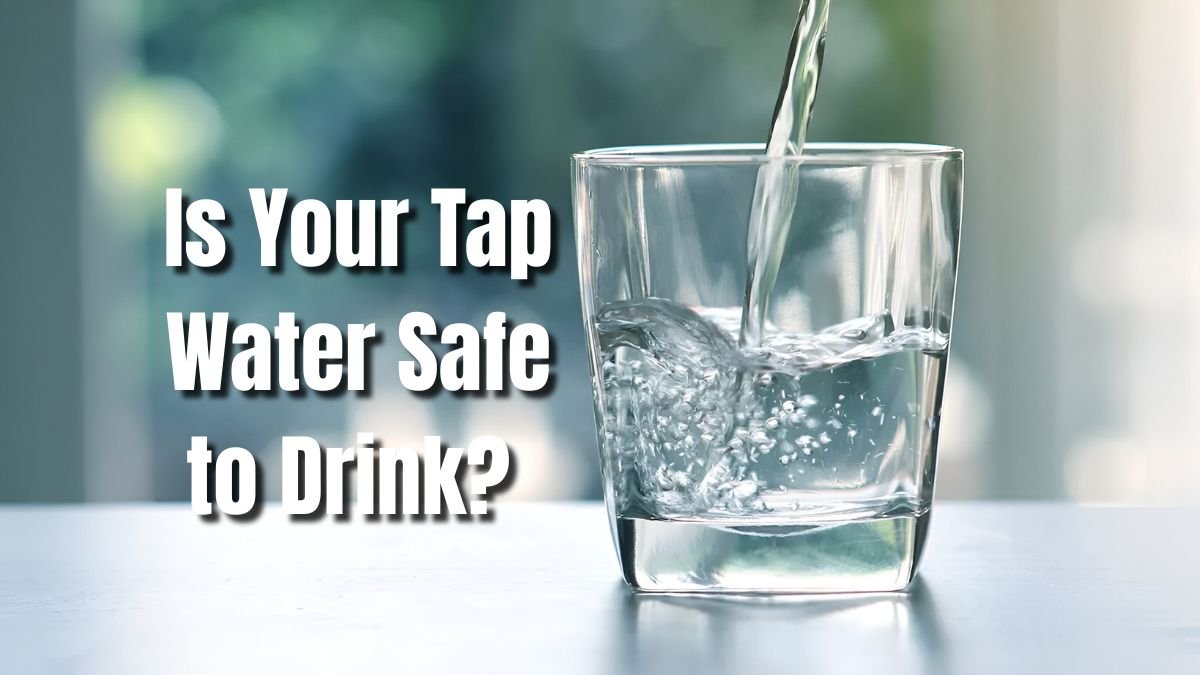 Is Your Tap Water Safe to Drink Health Risks You Should Know
